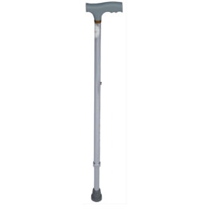 Walking Stick, Silver