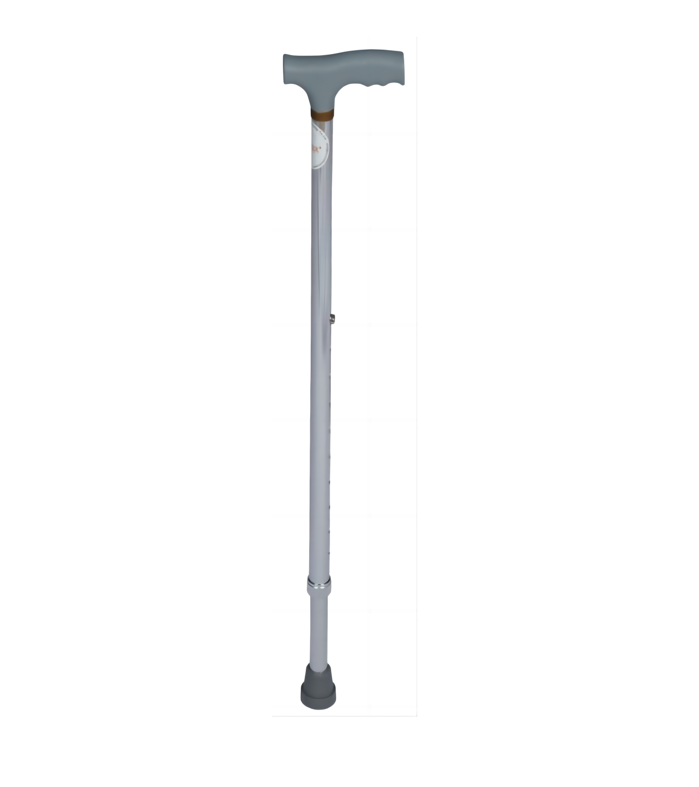 Walking Stick, Silver