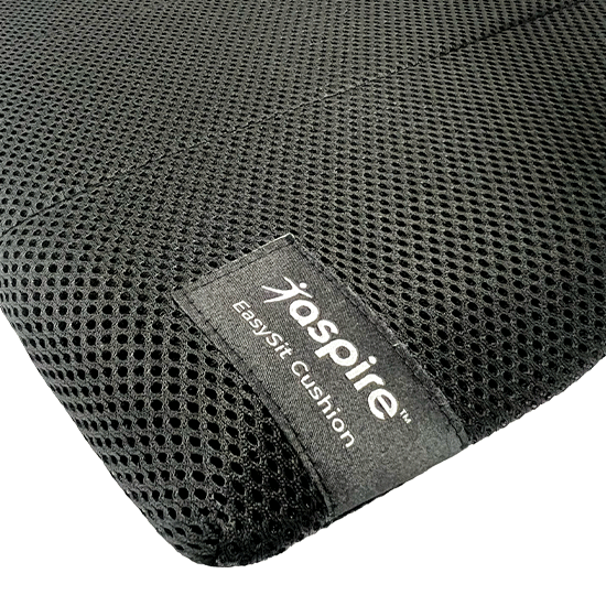 Aspire EasySit Cushion2